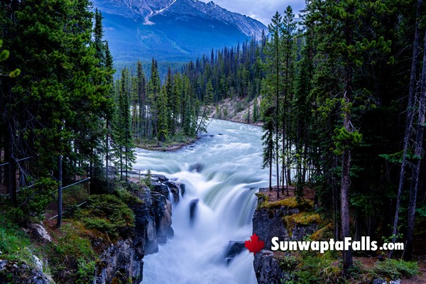 Sunwapta Falls in April